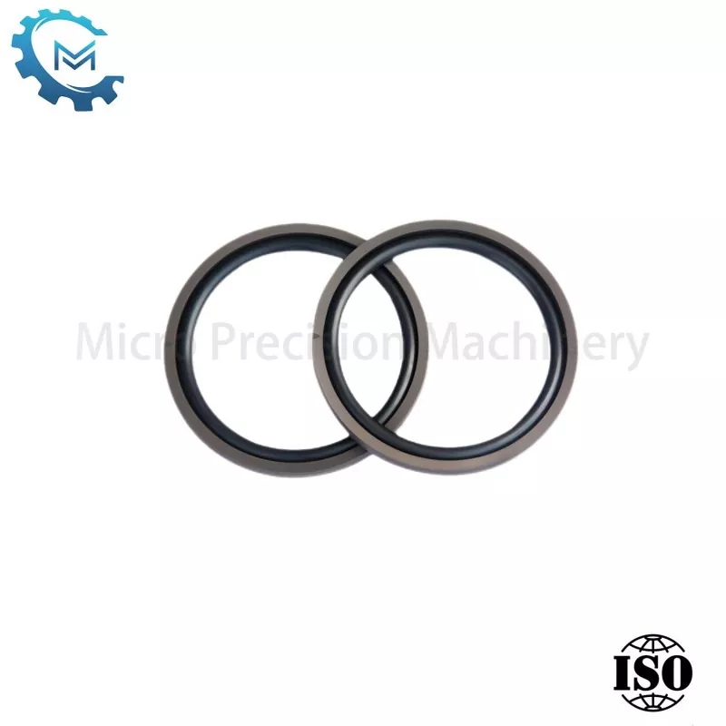 Glyd Ring pro Piston